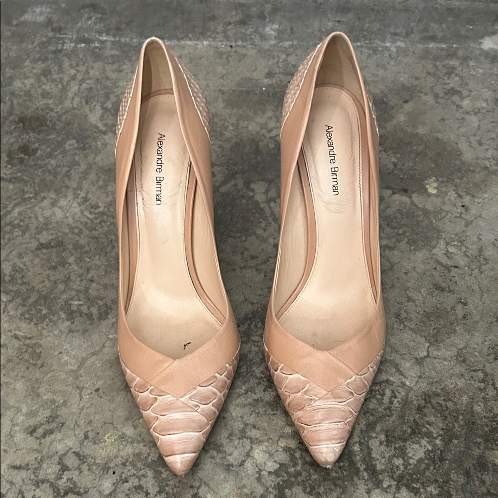 Alexandre Birman Women's Nude Heels
